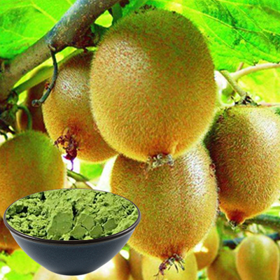 مسحوق فاكهة الكيوي