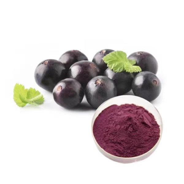 مسحوق استخراج Acai Berry